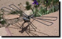 [ Spark plug dragonfly ]