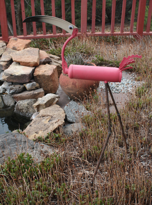 [Flamingo by the pond]