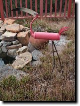 [ Flamingo by the pond ]