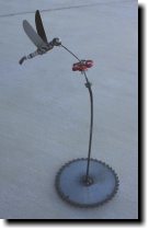 [ Hummingbird with flower ]