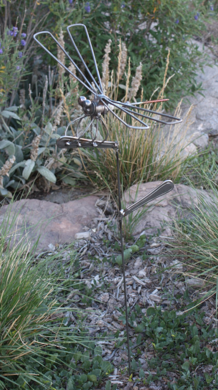 [Garden dragonfly, perched ...]