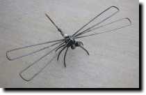 [ Yet another dragonfly ]