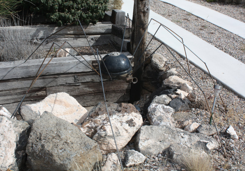 [Big spider for Halloween.]