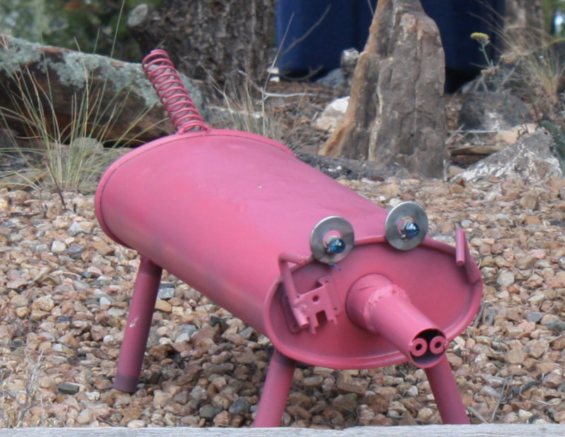 [Pig in the front yard, wa ...]